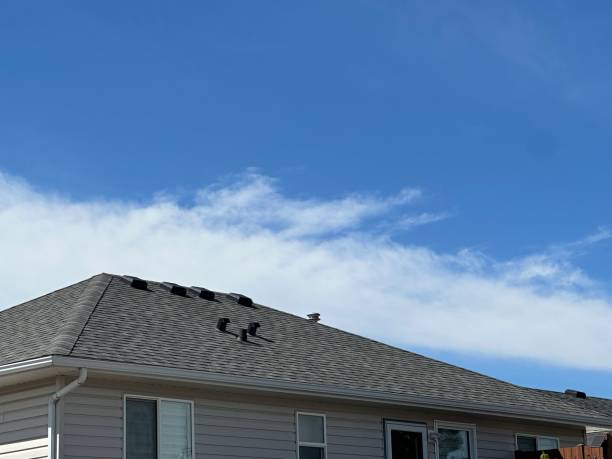 Best Roof Leak Repair  in USA